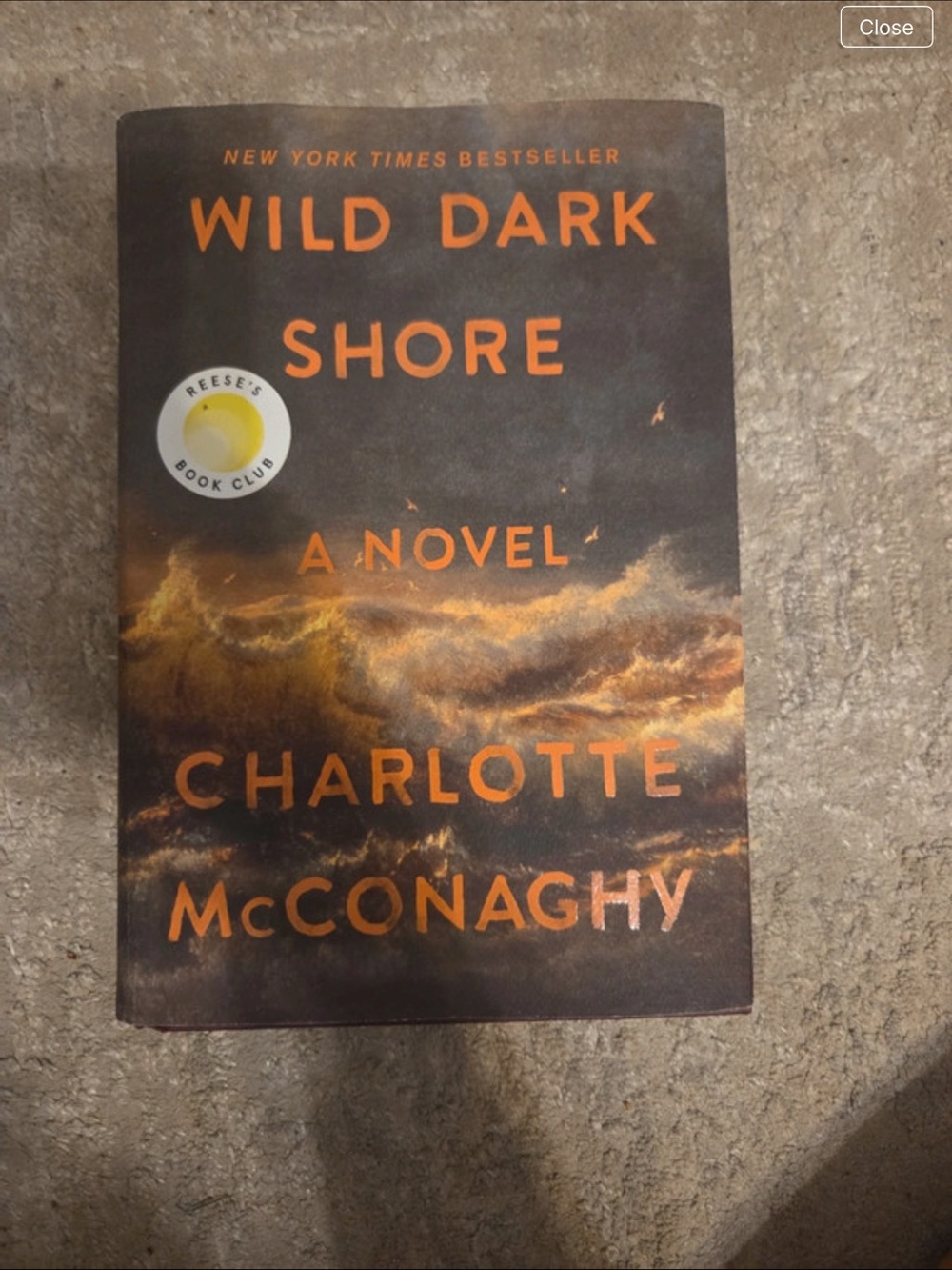 Wild Dark Shore